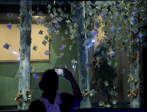 Turibus + Michin Aquarium