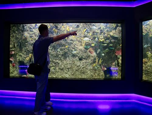 Turibus + Michin Aquarium