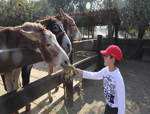 Turitour Reino Animal
