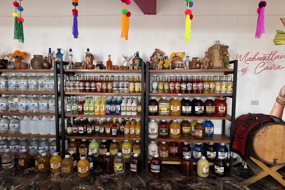 Tasting of typical beverages from the community of Mahuixtlán in Veracruz.