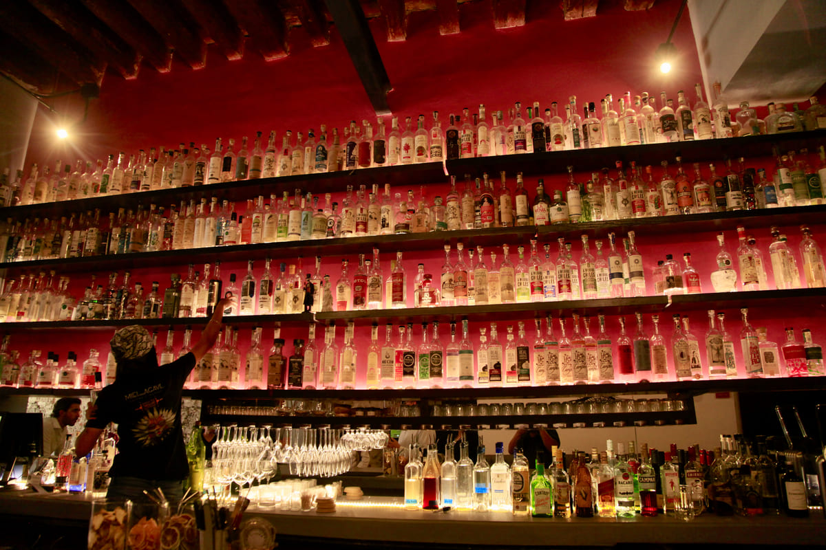Degustación en mezcalería Miel de Agave