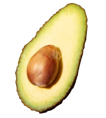Aguacate